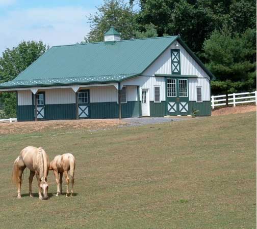 horse barns