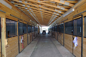 custom horse stalls