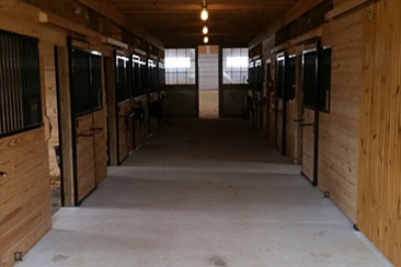 horse stalls